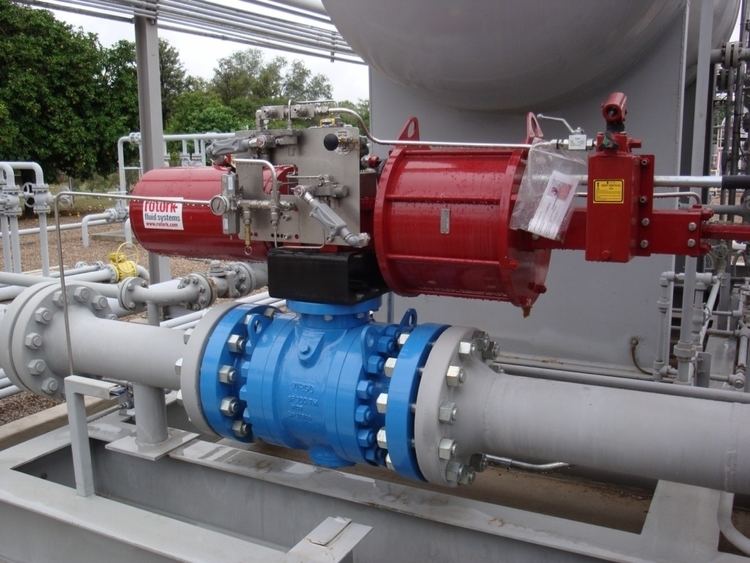 Emergency shutdown and blowdown valves